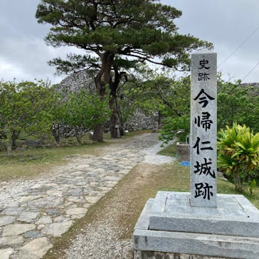 今帰仁城跡に投稿された画像（2024/3/5）