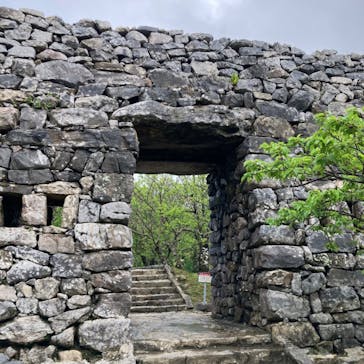 今帰仁城跡に投稿された画像（2024/3/5）