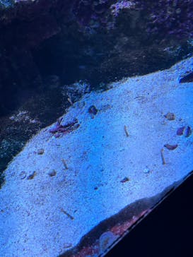 サンシャイン水族館に投稿された画像（2024/3/5）