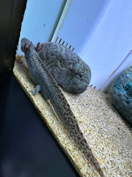 サンシャイン水族館に投稿された画像（2024/3/5）