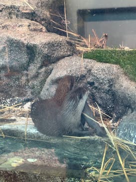 サンシャイン水族館に投稿された画像（2024/3/5）