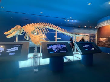 名古屋港水族館に投稿された画像（2024/3/5）