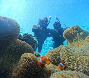 宮古島 ADVENTURE PiPi（ミヤコジマ アドベンチャー ピピ）に投稿された画像（2024/3/5）