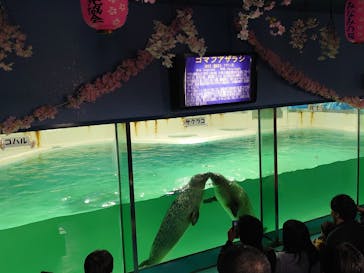 下田海中水族館に投稿された画像（2024/3/5）