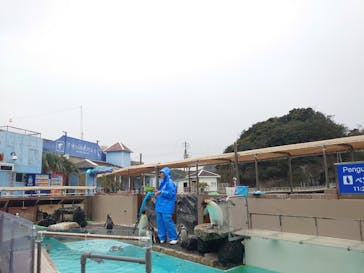 下田海中水族館に投稿された画像（2024/3/5）