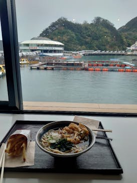下田海中水族館に投稿された画像（2024/3/5）