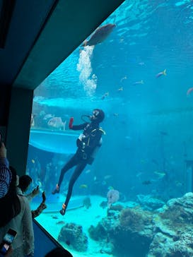沖縄美ら海水族館に投稿された画像（2024/3/5）