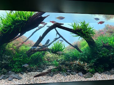 AOAO SAPPOROに投稿された画像（2024/3/5）