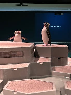 AOAO SAPPOROに投稿された画像（2024/3/5）