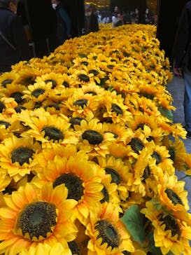 ゴッホ・アライブに投稿された画像（2024/3/5）