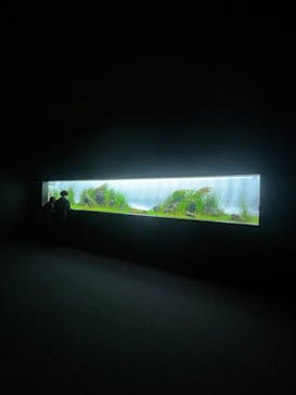 AOAO SAPPOROに投稿された画像（2024/3/5）