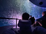名古屋港水族館に投稿された画像（2024/3/5）