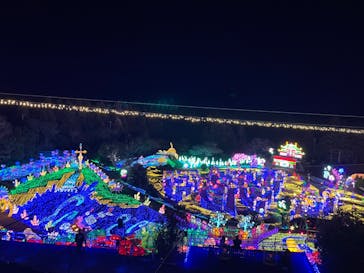 伊豆ぐらんぱる公園に投稿された画像（2024/3/5）