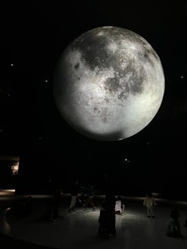 NIFREL（ニフレル）に投稿された画像（2024/3/6）