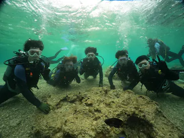 武藤潜水に投稿された画像（2024/3/6）