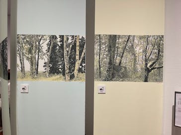 あべのハルカス美術館に投稿された画像（2024/3/6）