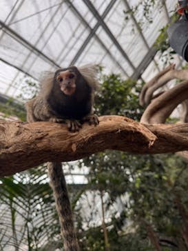 神戸どうぶつ王国に投稿された画像（2024/3/6）