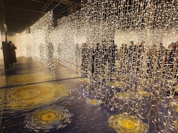 ゴッホ・アライブに投稿された画像（2024/3/6）