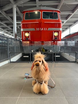 京都鉄道博物館に投稿された画像（2024/3/6）