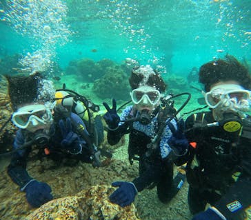 沖縄マリンサービス碧に投稿された画像（2024/3/6）