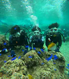 沖縄マリンサービス碧に投稿された画像（2024/3/6）