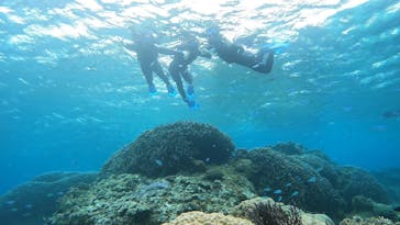 オースリーシュノーケル宮古島に投稿された画像（2024/3/6）