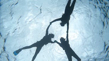 オースリーシュノーケル宮古島に投稿された画像（2024/3/6）