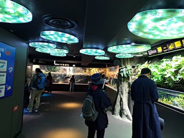 サンシャイン水族館に投稿された画像（2024/3/6）