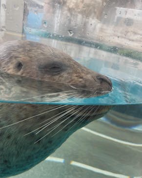 京都水族館に投稿された画像（2024/3/6）
