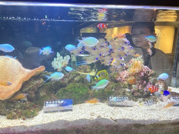 京都水族館に投稿された画像（2024/3/6）