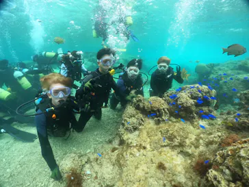 武藤潜水に投稿された画像（2024/3/6）