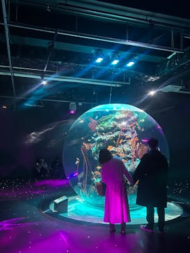 AQUARIUM × ART　atoaに投稿された画像（2024/3/6）
