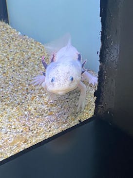 サンシャイン水族館に投稿された画像（2024/3/6）