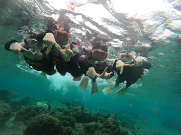 武藤潜水に投稿された画像（2024/3/6）