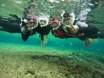 武藤潜水に投稿された画像（2024/3/6）