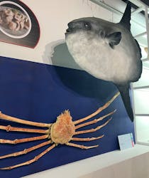 特別展「和食 ～日本の自然、人々の知恵～」に投稿された画像（2024/3/6）