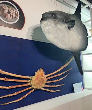 特別展「和食 ～日本の自然、人々の知恵～」に投稿された画像（2024/3/6）