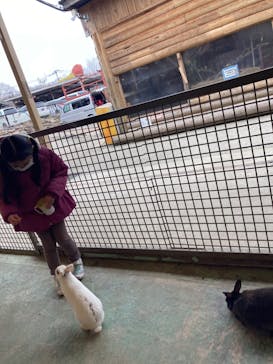 那須サファリパークに投稿された画像（2024/3/6）