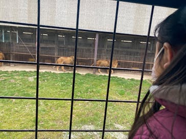 那須サファリパークに投稿された画像（2024/3/6）