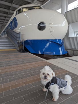 京都鉄道博物館に投稿された画像（2024/3/6）