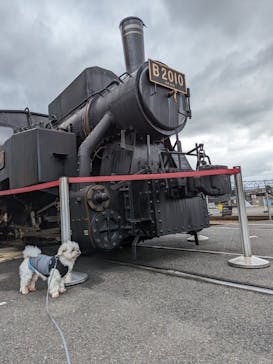 京都鉄道博物館に投稿された画像（2024/3/6）