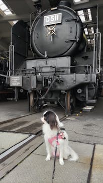 京都鉄道博物館に投稿された画像（2024/3/6）