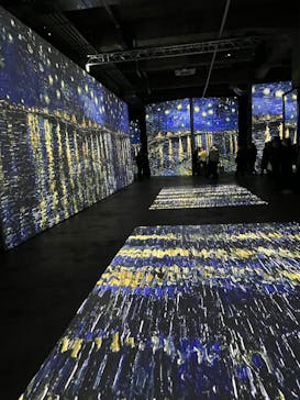 ゴッホ・アライブに投稿された画像（2024/3/6）