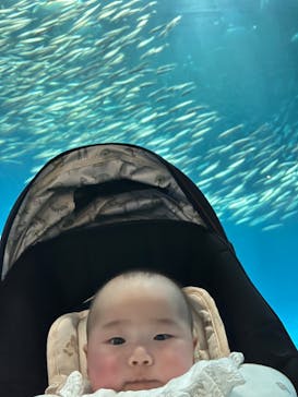 名古屋港水族館に投稿された画像（2024/3/6）