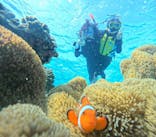 宮古島 ADVENTURE PiPi（ミヤコジマ アドベンチャー ピピ）に投稿された画像（2024/3/6）