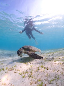 宮古島マリン GB QUESTに投稿された画像（2024/3/6）