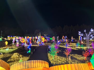 伊豆ぐらんぱる公園に投稿された画像（2024/3/6）