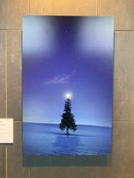 KAGAYA 星空の世界展に投稿された画像（2024/3/6）