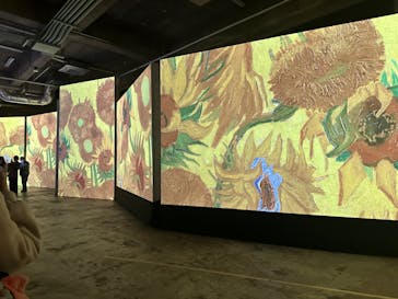 ゴッホ・アライブに投稿された画像（2024/3/6）