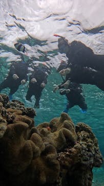 宮古島 ADVENTURE PiPi（ミヤコジマ アドベンチャー ピピ）に投稿された画像（2024/3/6）